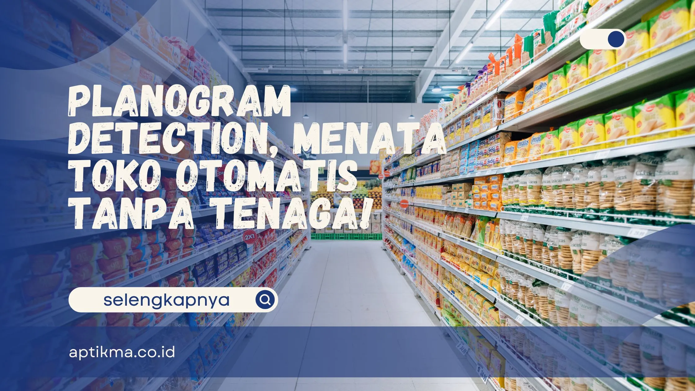 Planogram Detection